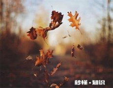 你看过的小说和歌词里最感人的一句话是啥啊