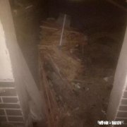 云南猪价会涨到30元吗