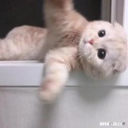 32岁，离婚，欠亲戚20多万。怎么开始新生活