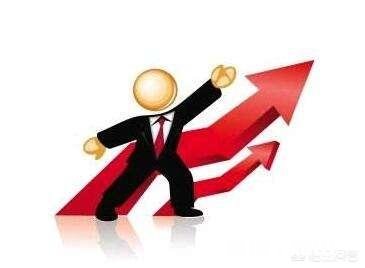 有些专家在电视节目上说的头头是道，假设给他一家企业，他是否就能够做到扭亏为盈，你怎么看