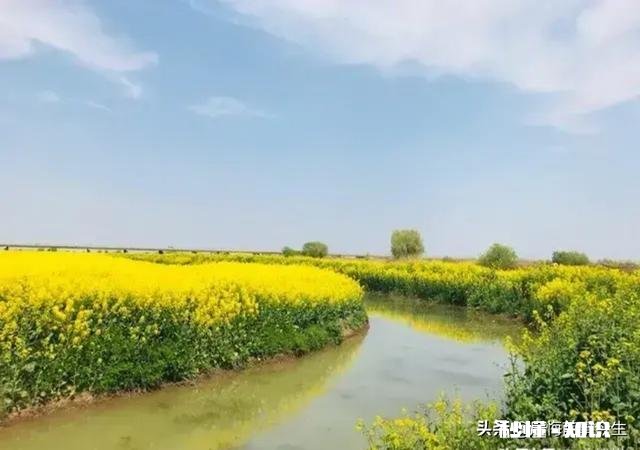 公婆瞒着我们把他儿子工资卡的钱用没了怎么办