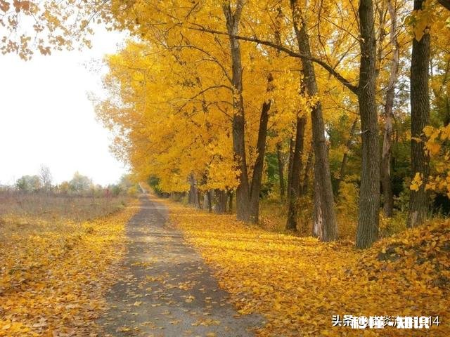 公婆瞒着我们把他儿子工资卡的钱用没了怎么办