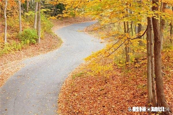 公婆瞒着我们把他儿子工资卡的钱用没了怎么办