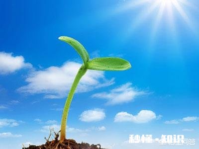 有人说“真正优秀的人，从不把优越感写在脸上”你认同这句话吗为什么