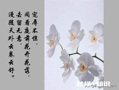 有人说“真正优秀的人，从不把优越感写在脸上”你认同这句话吗为什么