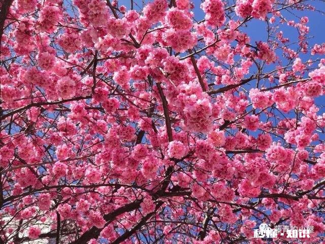 繁华的城市人潮流动，在外乡打拼的你有什么感想