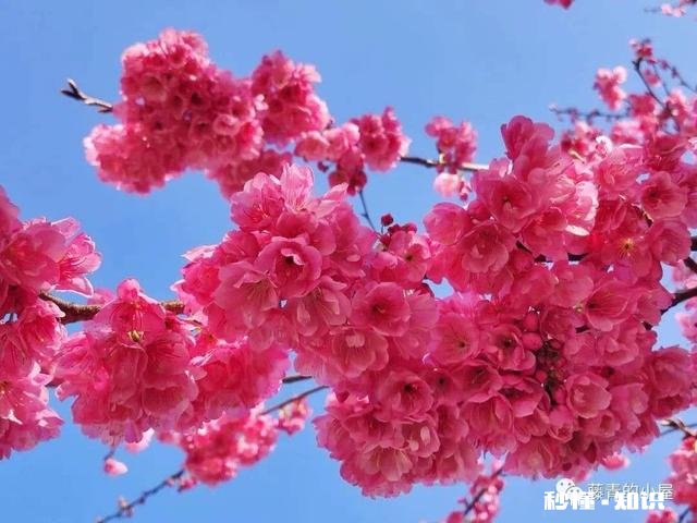 繁华的城市人潮流动，在外乡打拼的你有什么感想