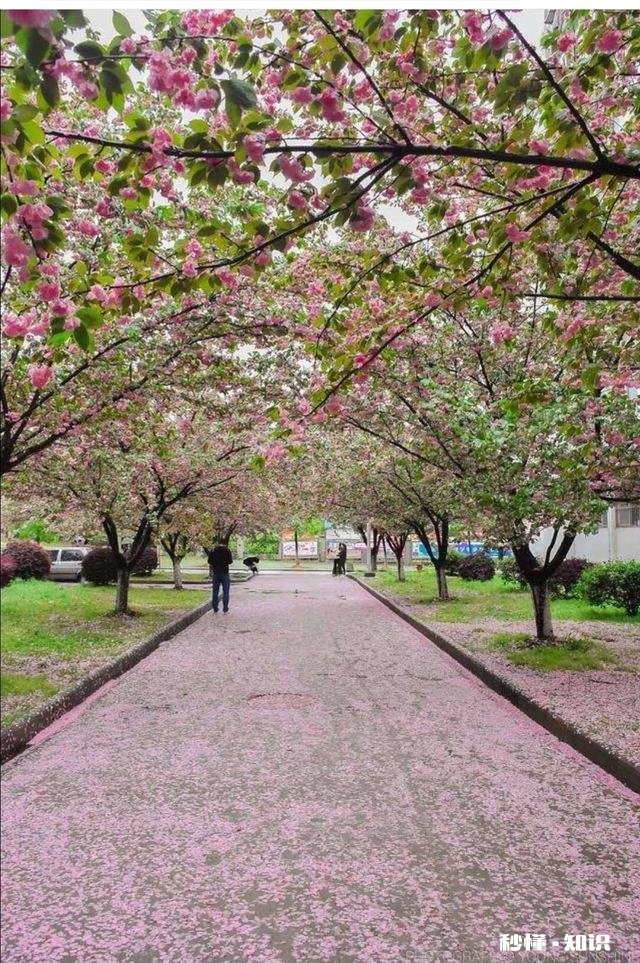 繁华的城市人潮流动，在外乡打拼的你有什么感想