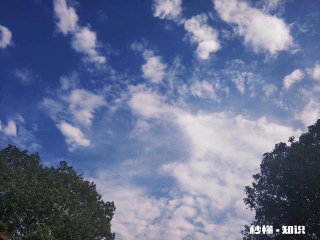 繁华的城市人潮流动，在外乡打拼的你有什么感想