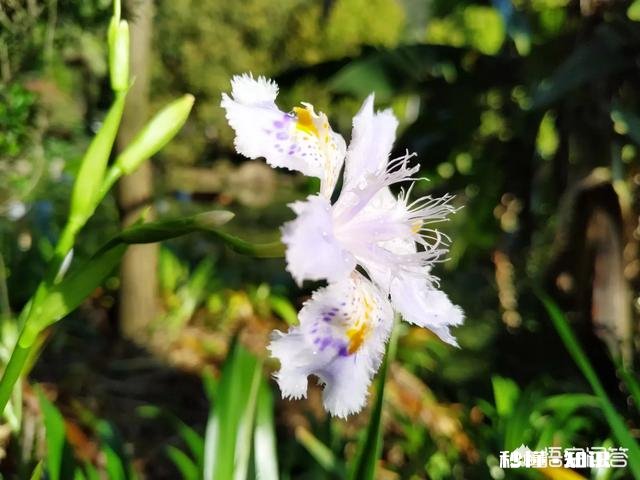 为什么总有人会说自己没长大