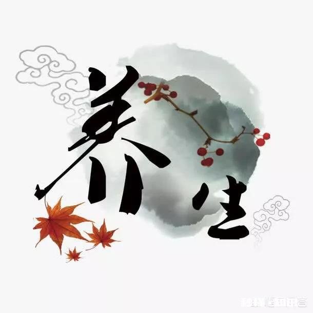 养生到底养的是什么