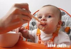 七个月的宝宝可不可以吃生蚝粥呢