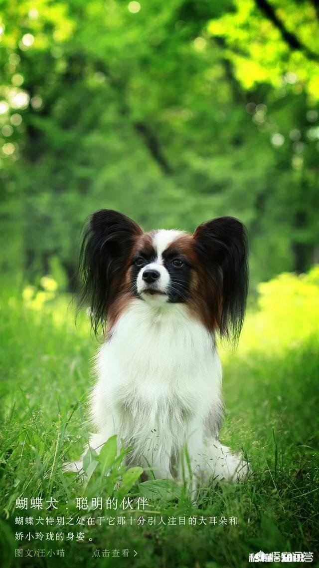 够“狠”的人才会成功吗