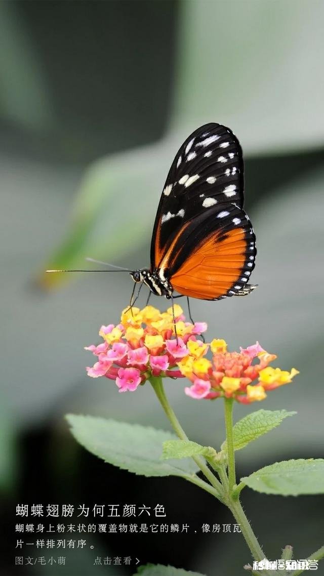 够“狠”的人才会成功吗