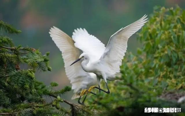 前任一哭，现任必输吗该怎么办