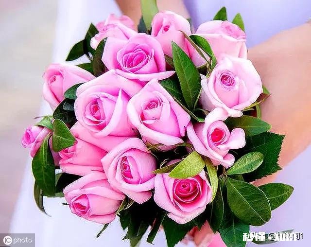 前任一哭，现任必输吗该怎么办