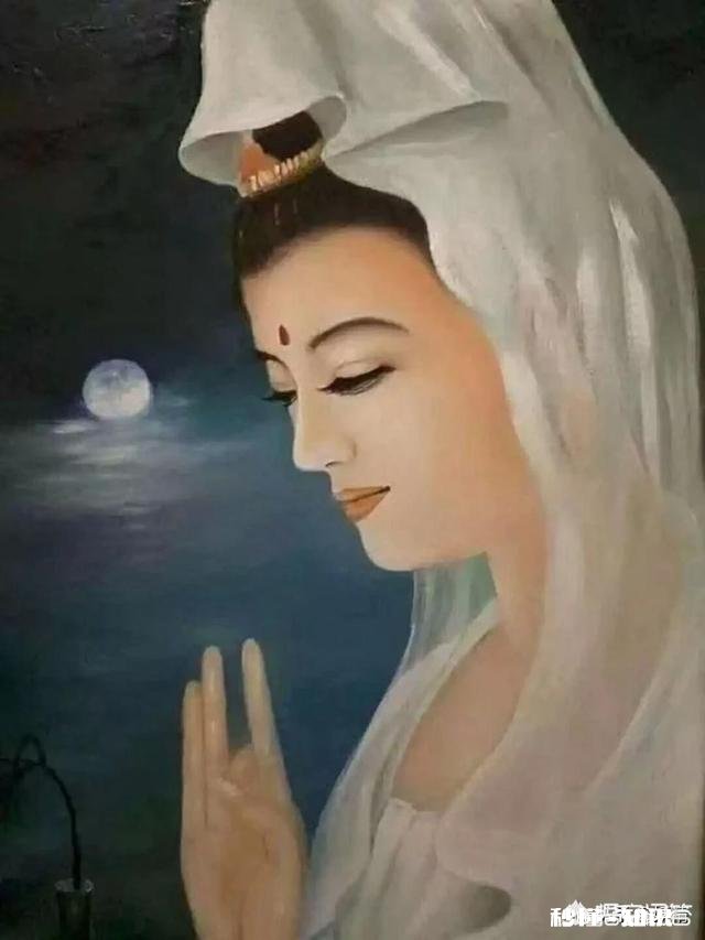 如果有一天你遇见摔倒的老人，你会扶吗