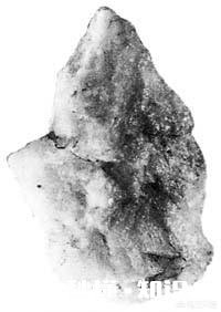 在中国文化发源时期,属黄河文化最早吗