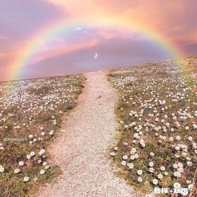 天才与庸才区别在哪你怎么看