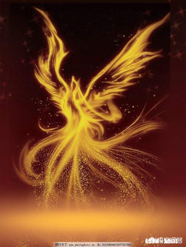关于凤凰的传说都有哪些这种神话是怎么一步步演变发展的呢