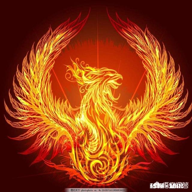 关于凤凰的传说都有哪些这种神话是怎么一步步演变发展的呢