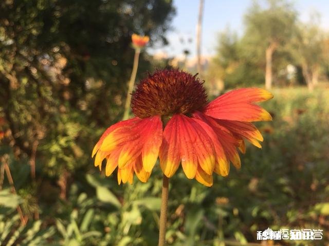 没有才能的人，怎么做自媒体