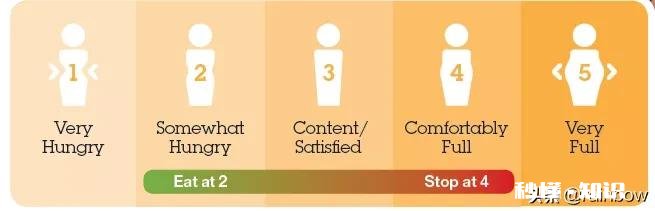 减肥陷入了暴食和节食死循环，怎么办