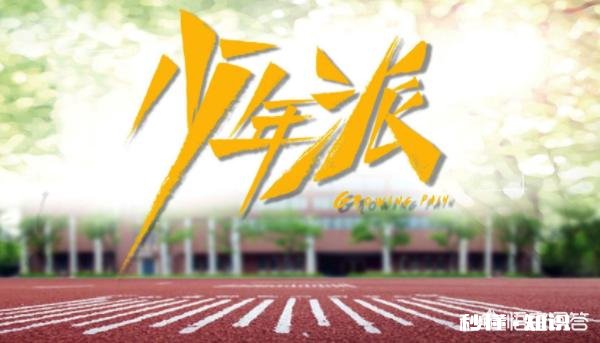 从教育的角度出发，您怎么看最近热播的《少年派》