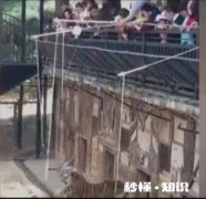 家长钓老虎，小孩子在旁边观看，这难道不会对孩子造成影响吗