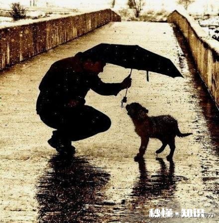 家长钓老虎，小孩子在旁边观看，这难道不会对孩子造成影响吗