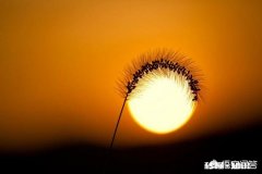 你删过曾经发过的帖子吗为什么