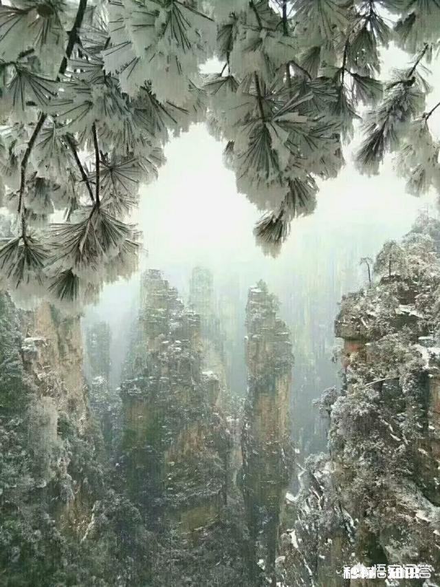 今年冬天第一场雪，你的城市下雪了吗