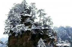 今年冬天第一场雪，你的城市下雪了吗