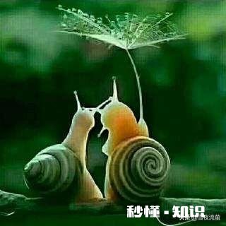 没有感情的婚姻，没有关心、没有沟通、没有爱，该为了孩子继续吗