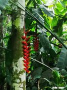 无论发生什么事真的都能控制好自己的情绪吗怎么做