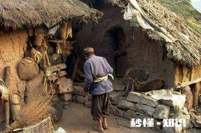 一斤狗粮可以换小麦二百多斤地里可以种狗粮吗可以增加百姓收入