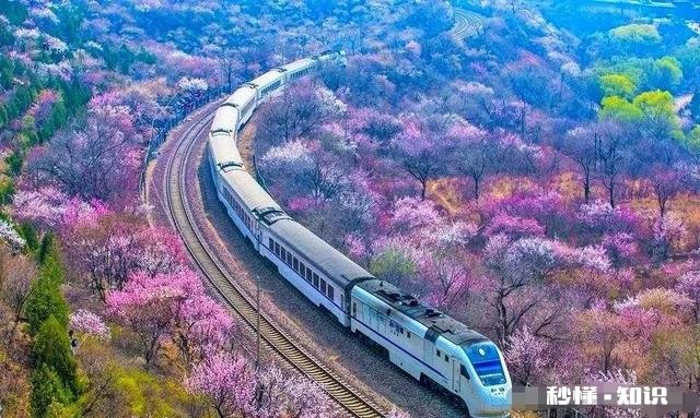 如何看待没有时间观念的人