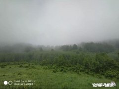 夏天你会选择去海边还是山里面避暑