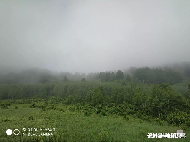 夏天你会选择去海边还是山里面避暑