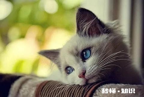 还没毕业,实习参加了一份工作,现在想辞职,应该怎么委婉一点去说