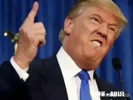 美国因疫情死亡人数已达到8万！你认为美国何时才会迎来拐点