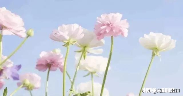 今天中午和大宝吵架了,觉得我向着妹妹,怎么和大宝解释啊