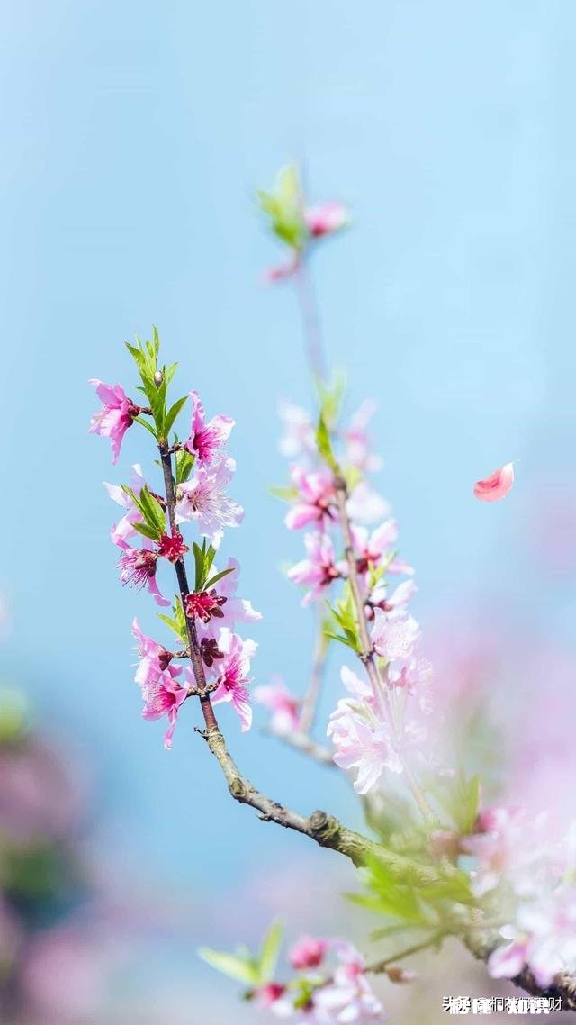 你现在的生活处于什么状态