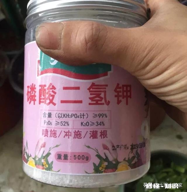 磷酸二氢钾能用于玉米地追肥吗