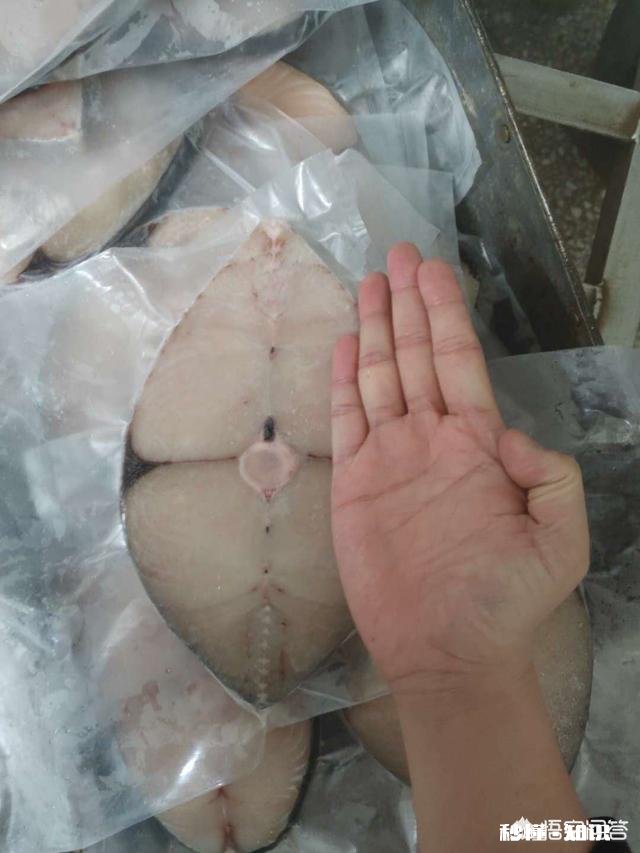 鲅鱼有几种做法