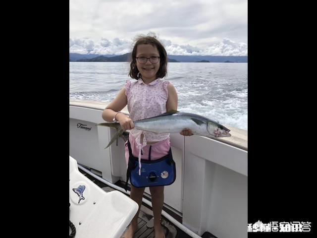 鲅鱼有几种做法