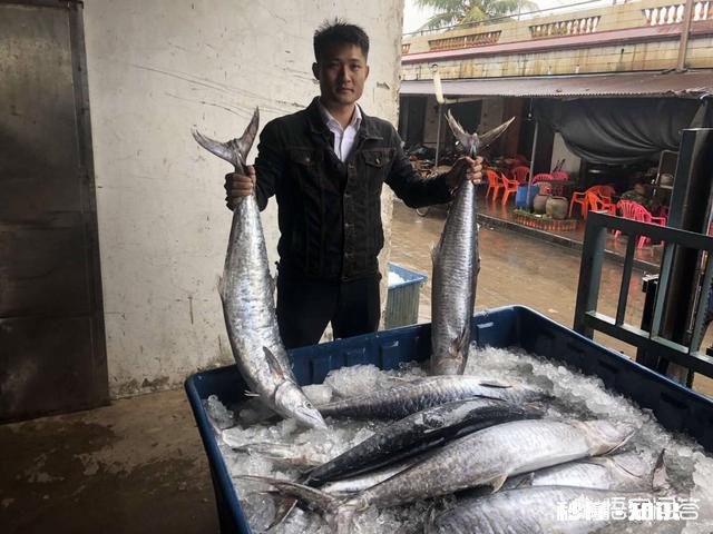 鲅鱼有几种做法