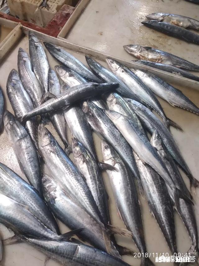 鲅鱼有几种做法