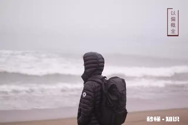 如何提高自己的逻辑和全局能力