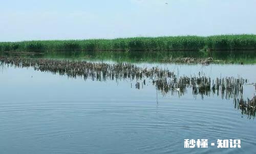 襄阳城市群扩容为城市圈后的第一要务是什么